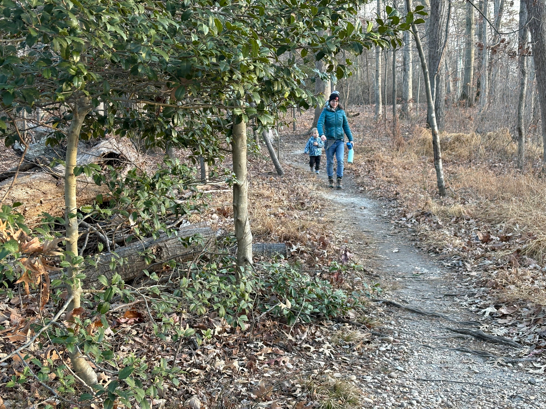 Auto-generated description: A person and a child are walking along a forest trail carrying blue buckets.